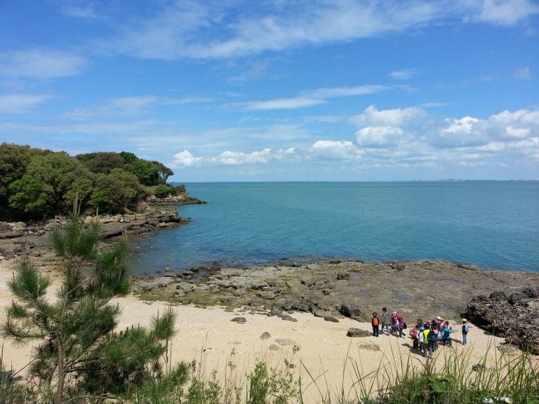 Insel