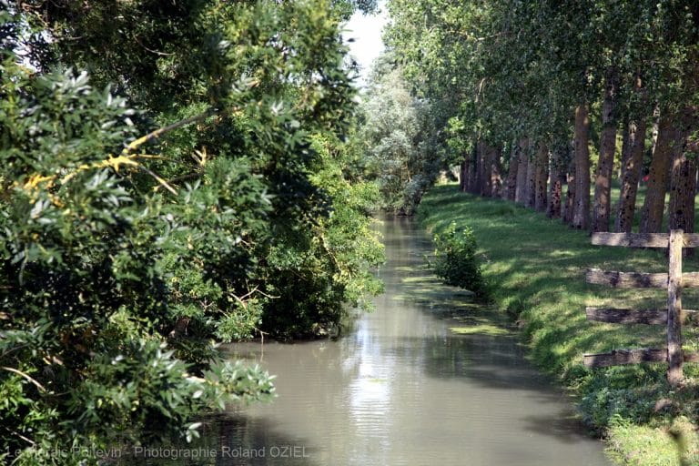 Poitevin Marshes